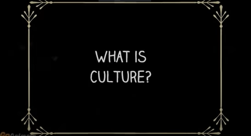 What exactly is Culture ?